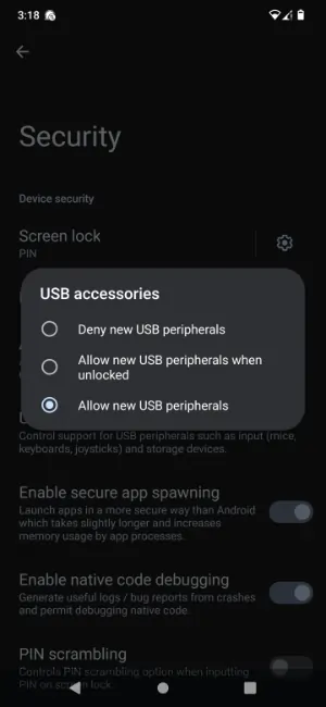 USB accessories settings screen showing toggle for allowing new USB peripherals without unlocking device, enhancing usability